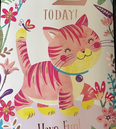 Girls Birthday Card 2 Today
