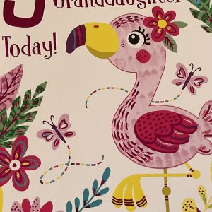 Happy Birthday Great Granddughter 5 Today